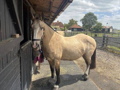 Customer Success Gallery - 